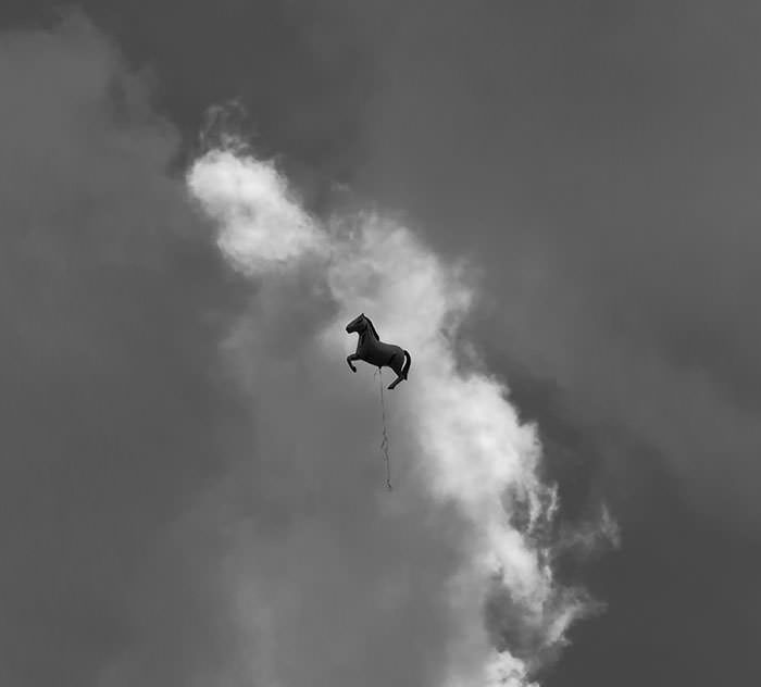 Horst, das fliegende Pferd